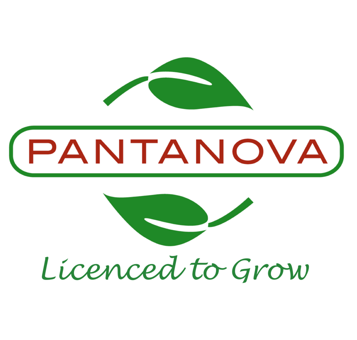 Pantanova BV