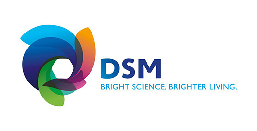 DSM Coating Resins