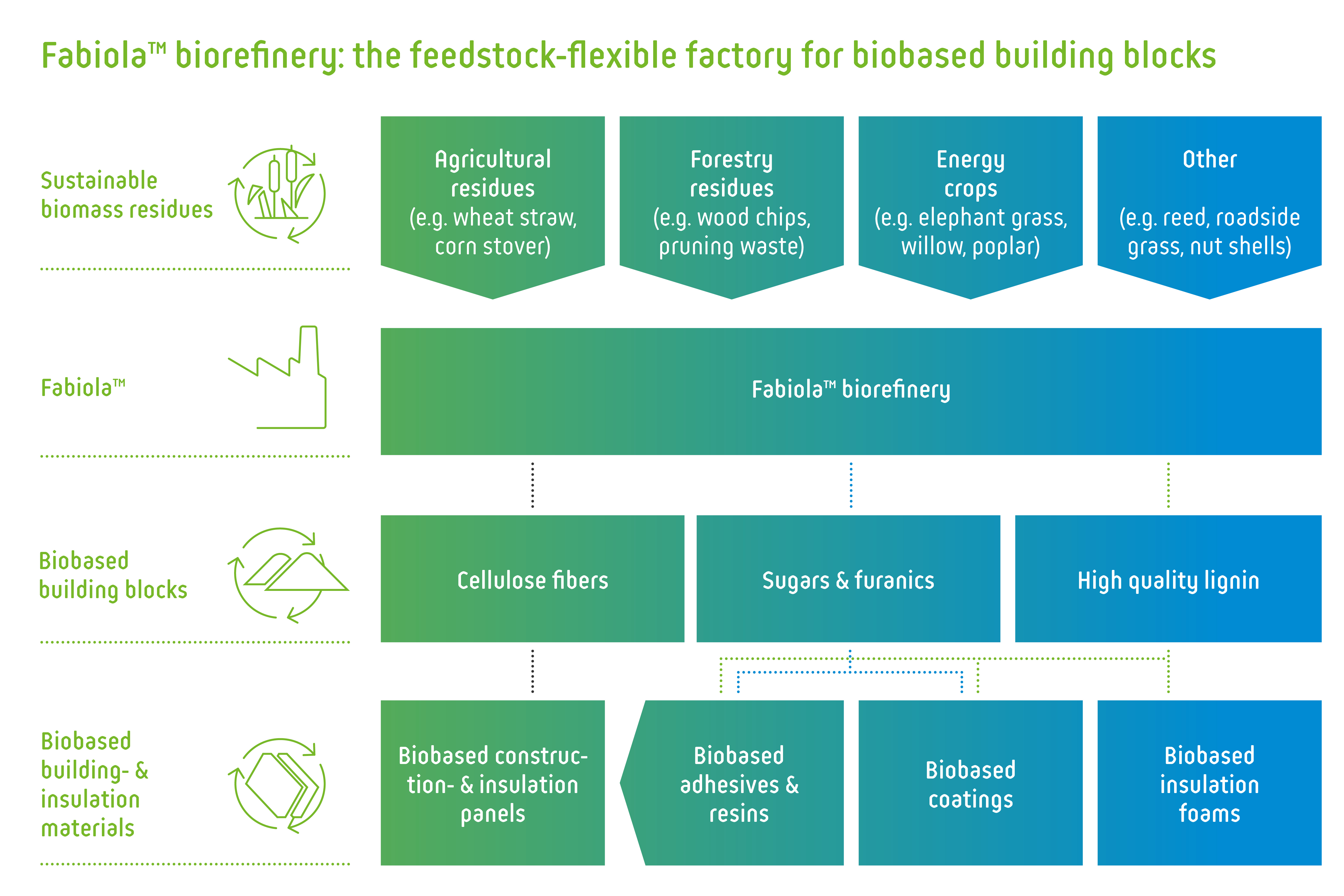 Fabiola™ biorefinery: the feedstock-flexible factory for biobased ...