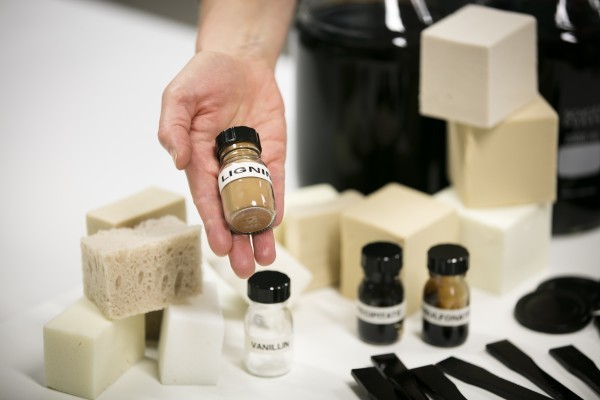 LignoValue Pilot launched: Flanders first and only pilot line of bio-aromatics from lignin/wood