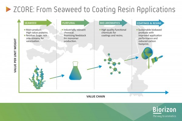 ZCORE Project Started: Seaweed Residues for Superior Bio-Coatings