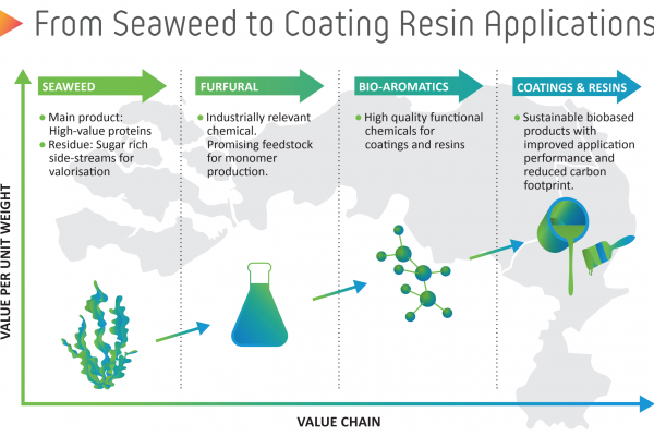 ZCORE Call for Participation: Bio-Aromatic Sample Evaluation and Seaweed Bio-Refinery