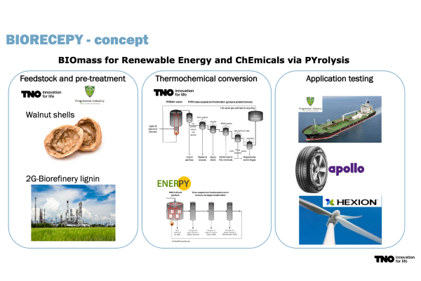 BIORECEPY project: Biomass for renewable energy and chemicals via pyrolysis