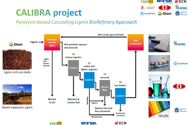 CALIBRA (CAscading LIgnin BioRefinery Approach)