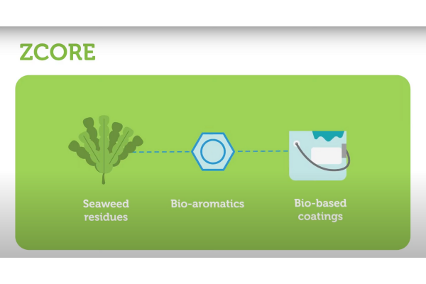 ZCORE project animation: Seaweed residues for superior bio-coatings